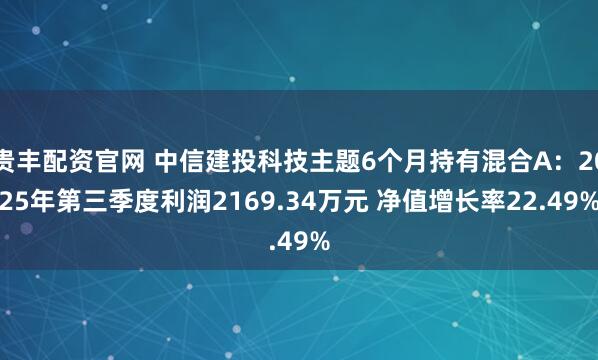 贵丰配资官网 中信建投科技主题6个月持有混合A：2025年第三季度利润2169.34万元 净值增长率22.49%
