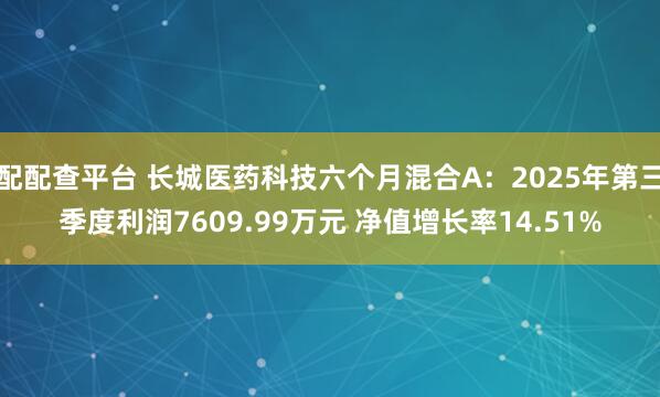 配配查平台 长城医药科技六个月混合A：2025年第三季度利润7609.99万元 净值增长率14.51%