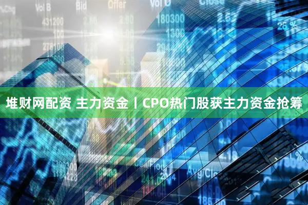 堆财网配资 主力资金丨CPO热门股获主力资金抢筹