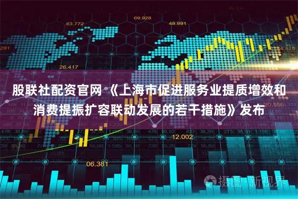 股联社配资官网 《上海市促进服务业提质增效和消费提振扩容联动发展的若干措施》发布