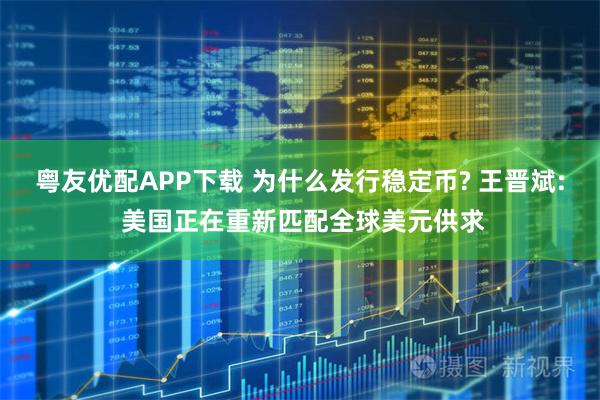 粤友优配APP下载 为什么发行稳定币? 王晋斌: 美国正在重新匹配全球美元供求