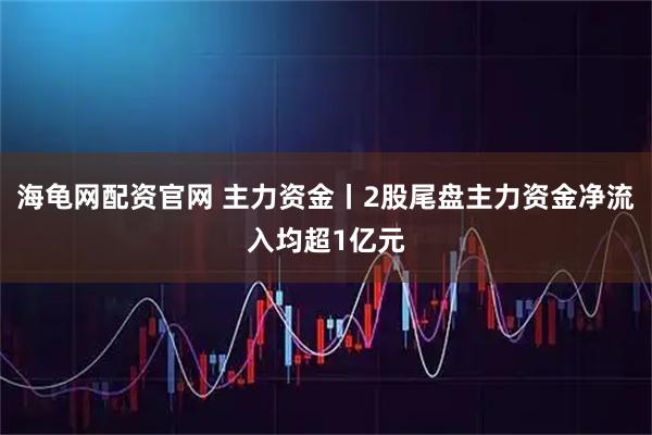 海龟网配资官网 主力资金丨2股尾盘主力资金净流入均超1亿元