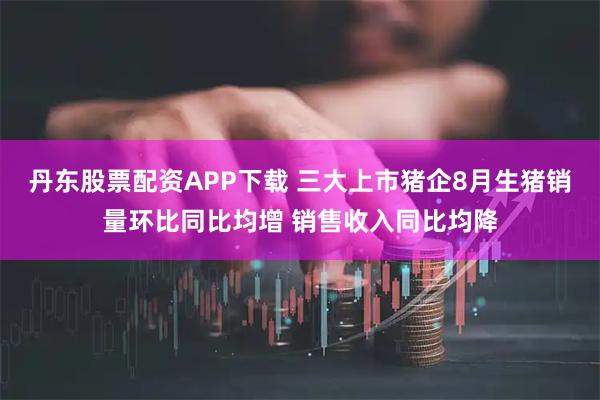 丹东股票配资APP下载 三大上市猪企8月生猪销量环比同比均增 销售收入同比均降